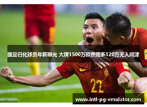 国足归化球员年薪曝光 大牌1500万欧费南多120万无人问津 国足归化球员年薪曝光 大牌1500万欧费南多120万无人问津