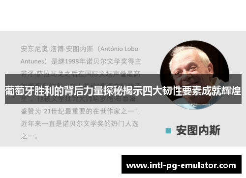 葡萄牙胜利的背后力量探秘揭示四大韧性要素成就辉煌