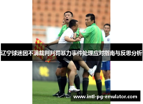 辽宁球迷因不满裁判判罚暴力事件处理应对指南与反思分析 辽宁球迷因不满裁判判罚暴力事件处理应对指南与反思分析