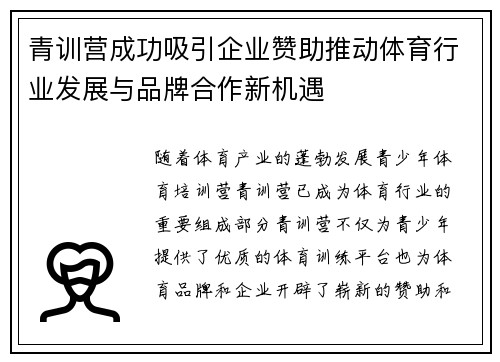 青训营成功吸引企业赞助推动体育行业发展与品牌合作新机遇 青训营成功吸引企业赞助推动体育行业发展与品牌合作新机遇